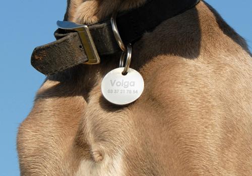 Hueso para Mascotas Muy pequeñas Placa cChapa Medalla de identificación Personalizada para Collar Perro Gato Mascota grabada Plateado 